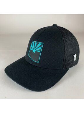Branded Bills Black Turquoise Arizona Logo Snapback Trucker Hat